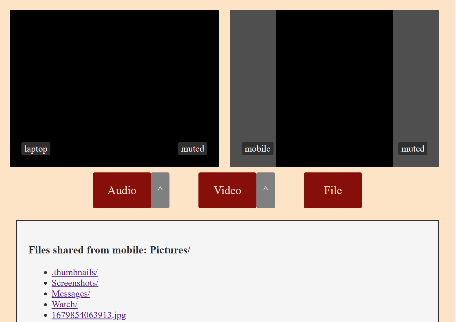 screenshot of sidebar interface showing two devices connected and file